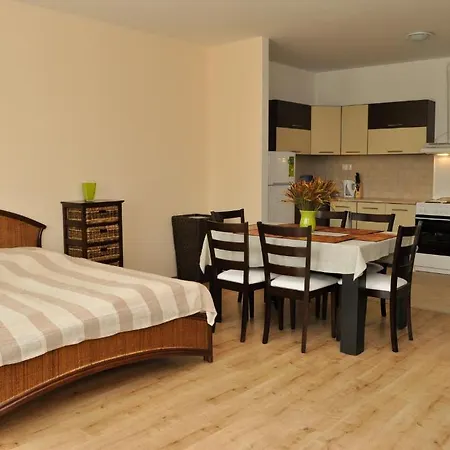 Tisza Palota Apartman *