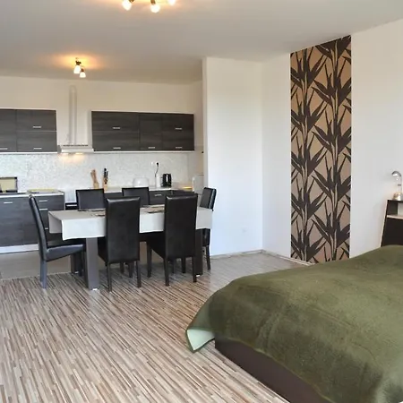Tisza Palota Apartman *