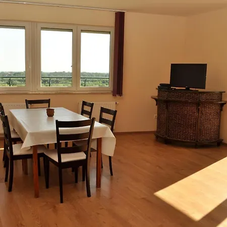 Tisza Palota Apartman *